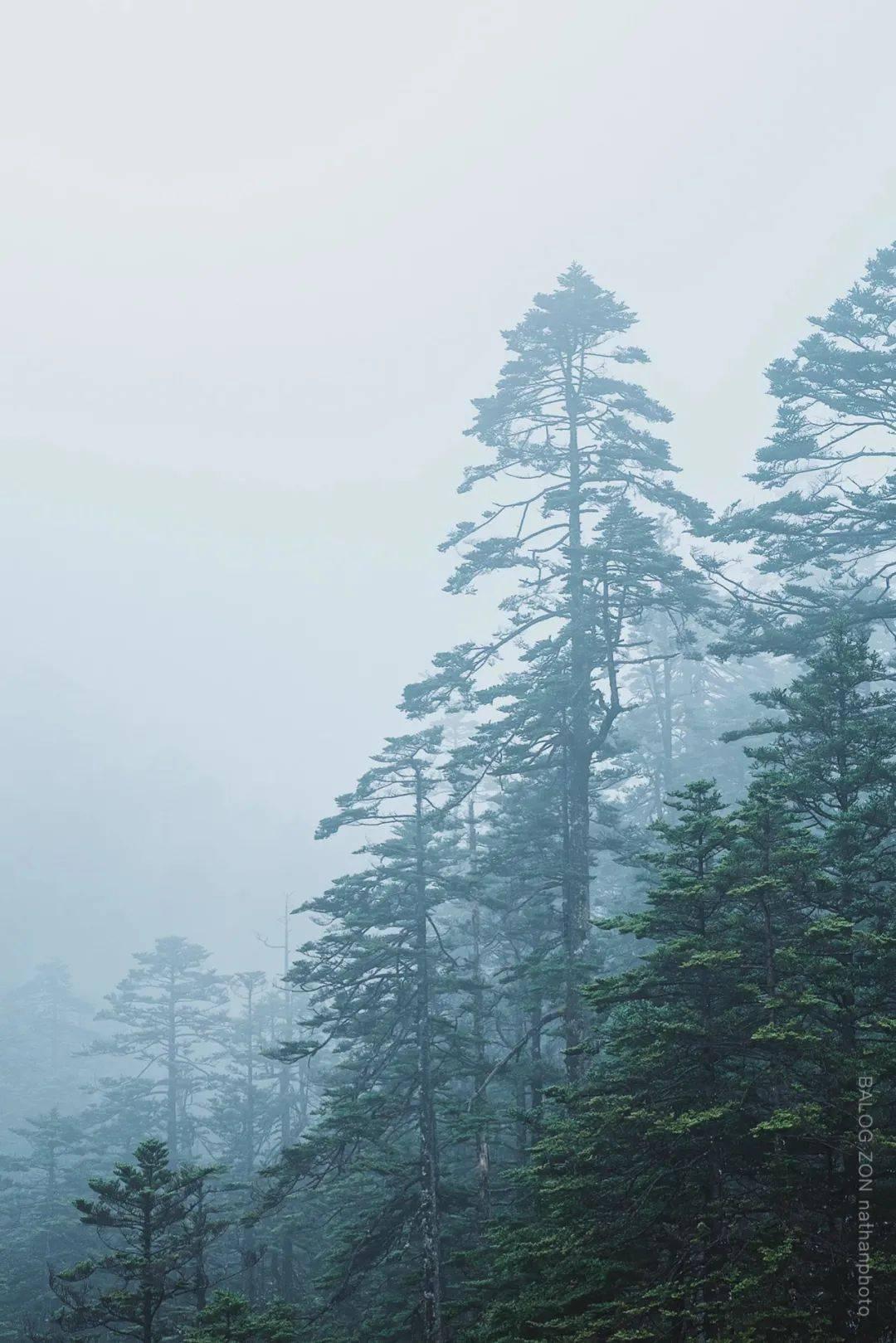 《原神》班尼特一命和零命的区别是什么？
