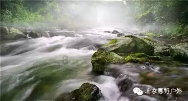 想要打开腹股沟,哪些瑜伽动作会有所帮助?-领先的知识星球平台